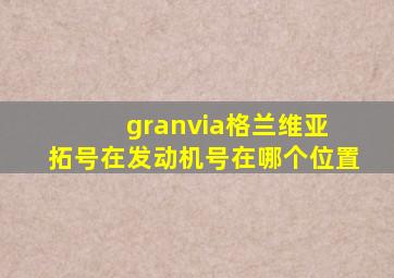granvia格兰维亚 拓号在发动机号在哪个位置